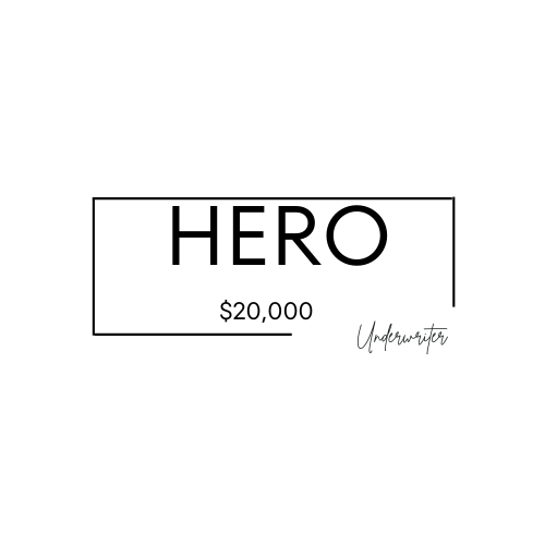 hero logo-2